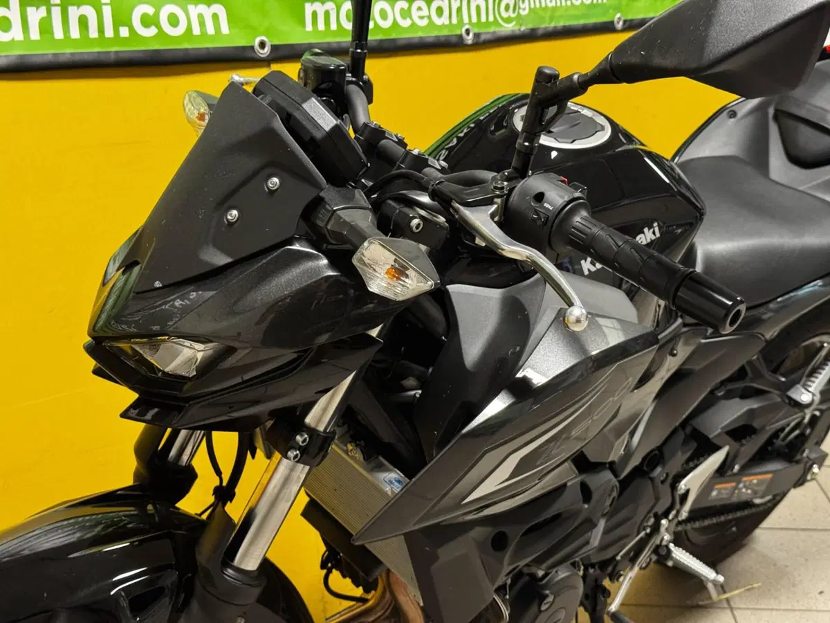 Kawasaki Z 500 (2024 - 26) (4)