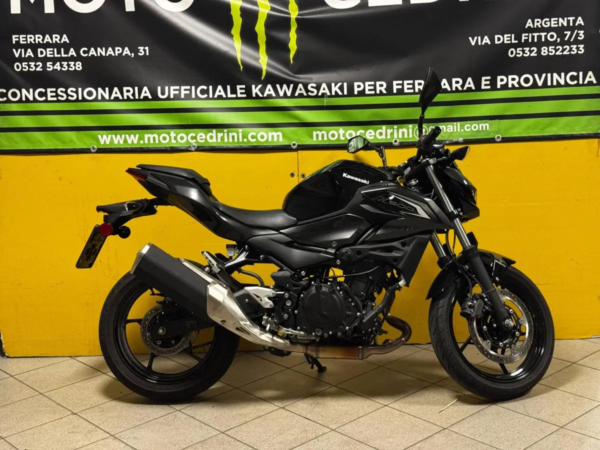 Kawasaki Z 500 (2024 - 26) (3)