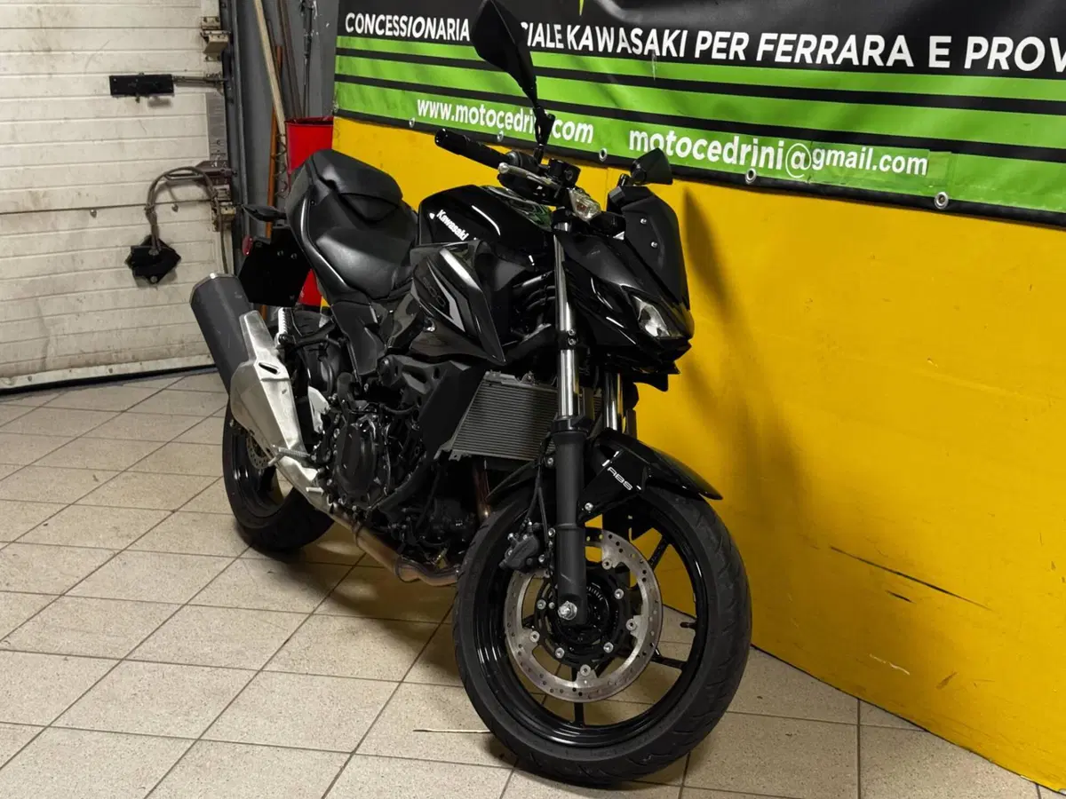 Kawasaki Z 500 (2024 - 26) (5)