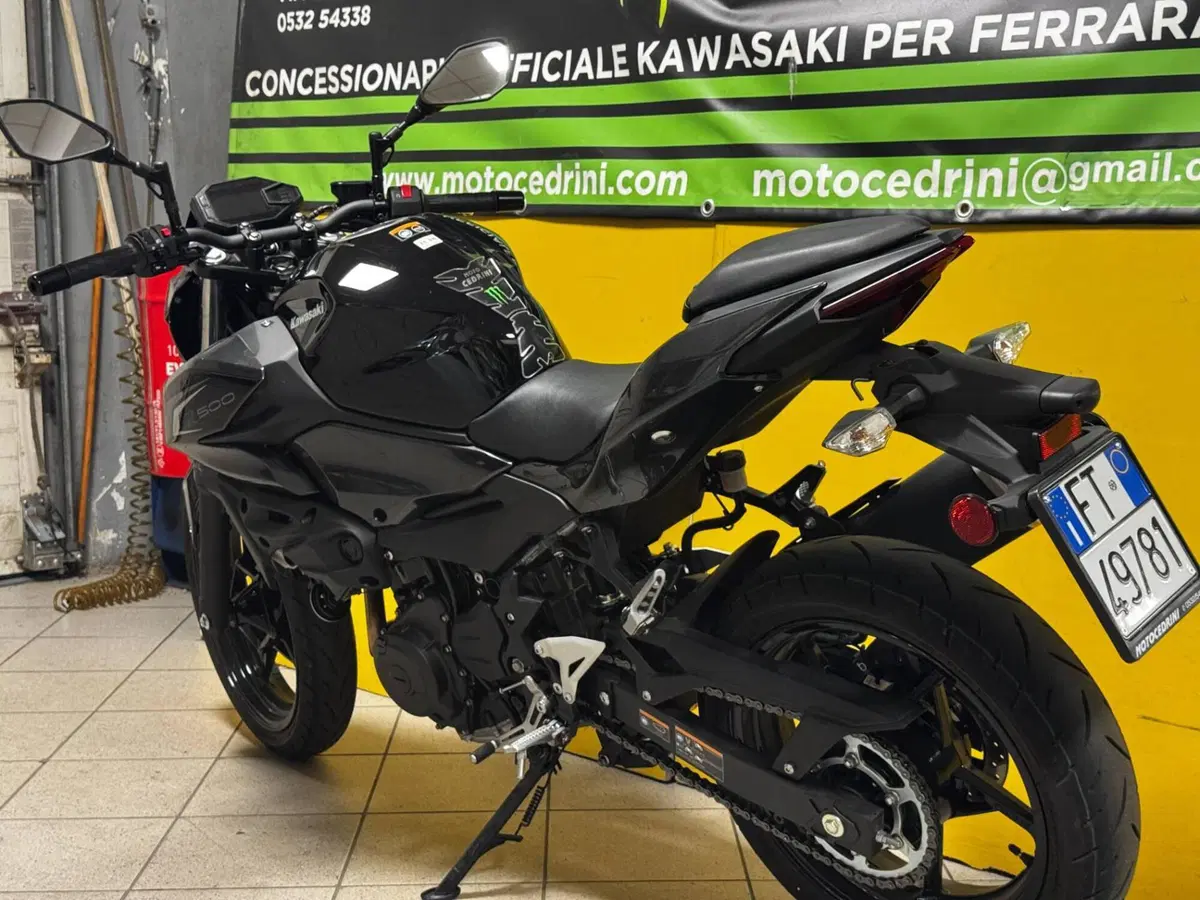 Kawasaki Z 500 (2024 - 26) (6)
