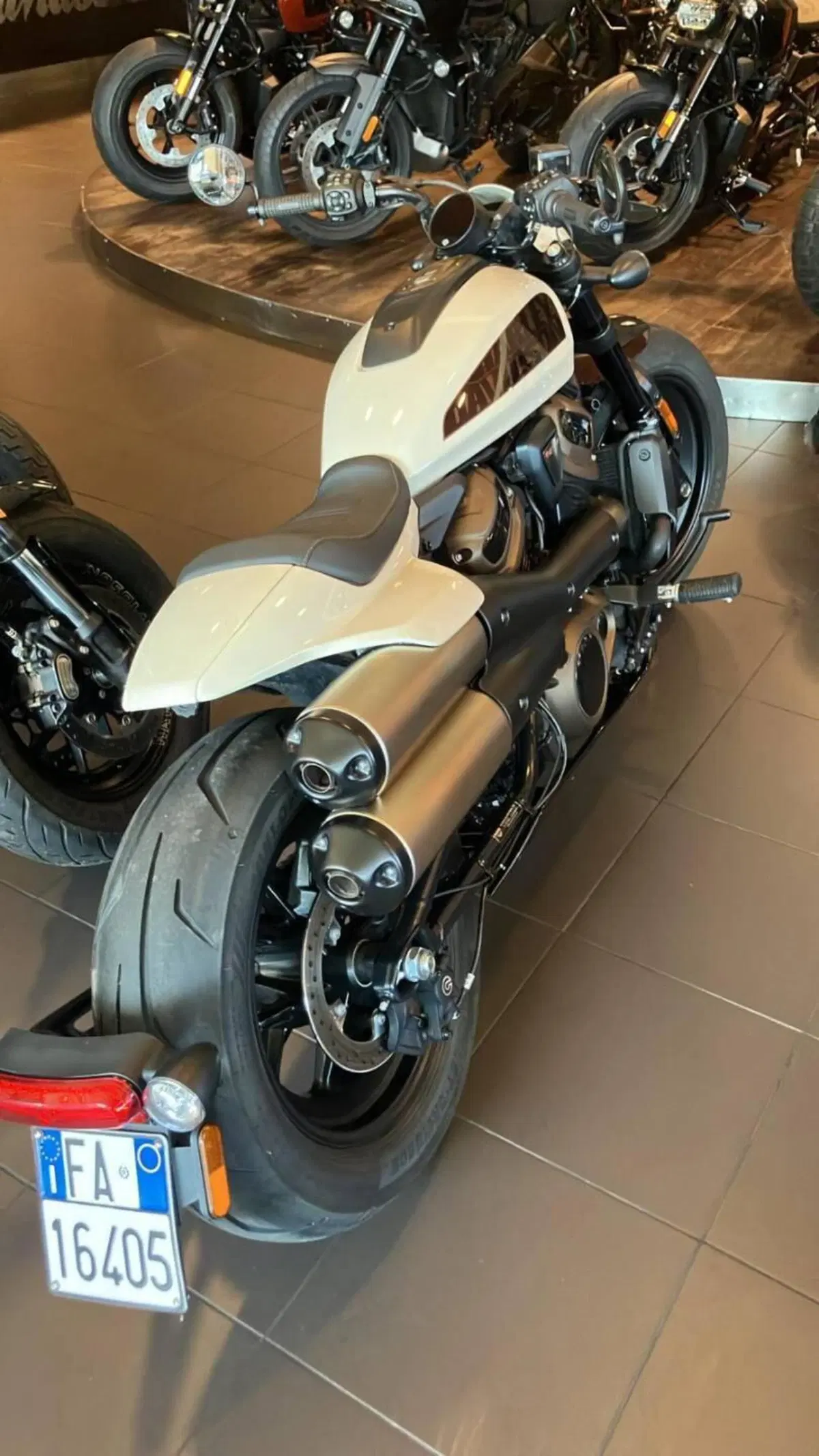 Harley-Davidson Sportster S (2022 - 24) (2)