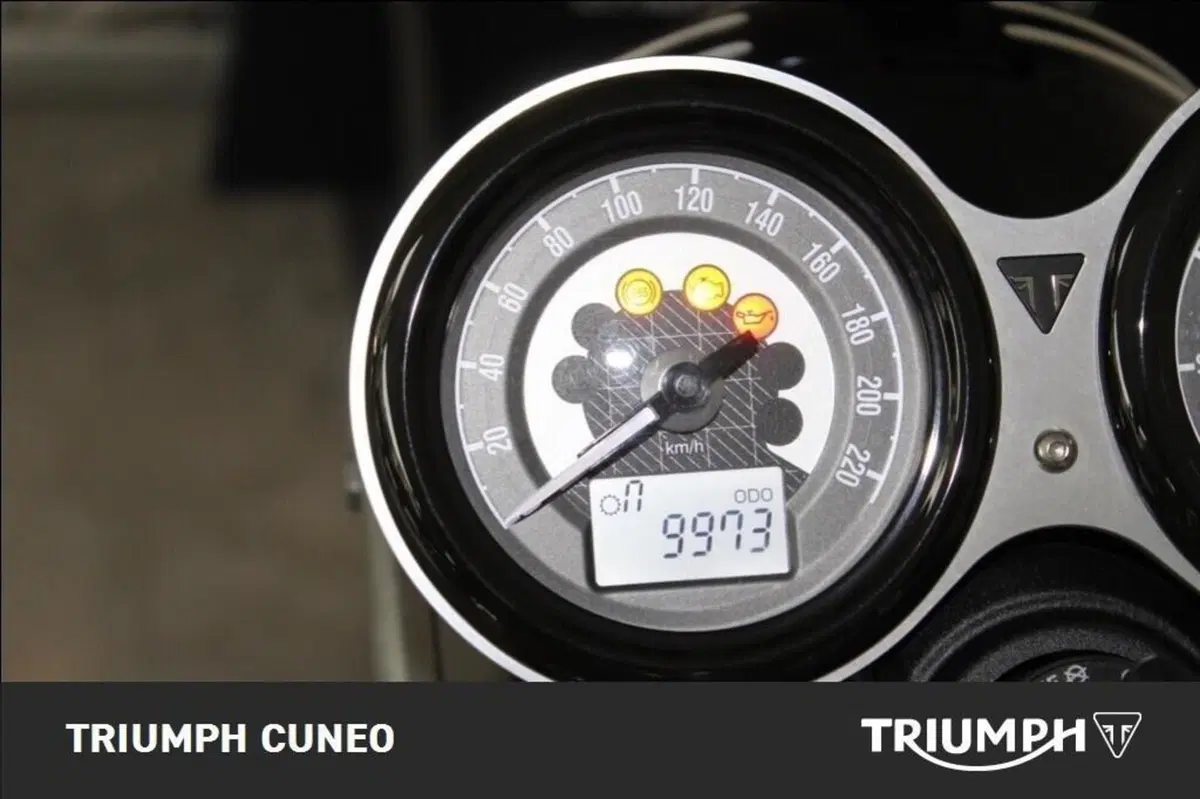 Triumph Speed Twin 1200 (2019 - 20) (7)