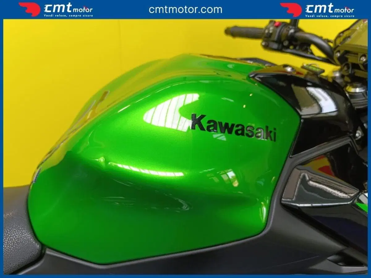 Kawasaki Z 650 (2017 - 19) (6)