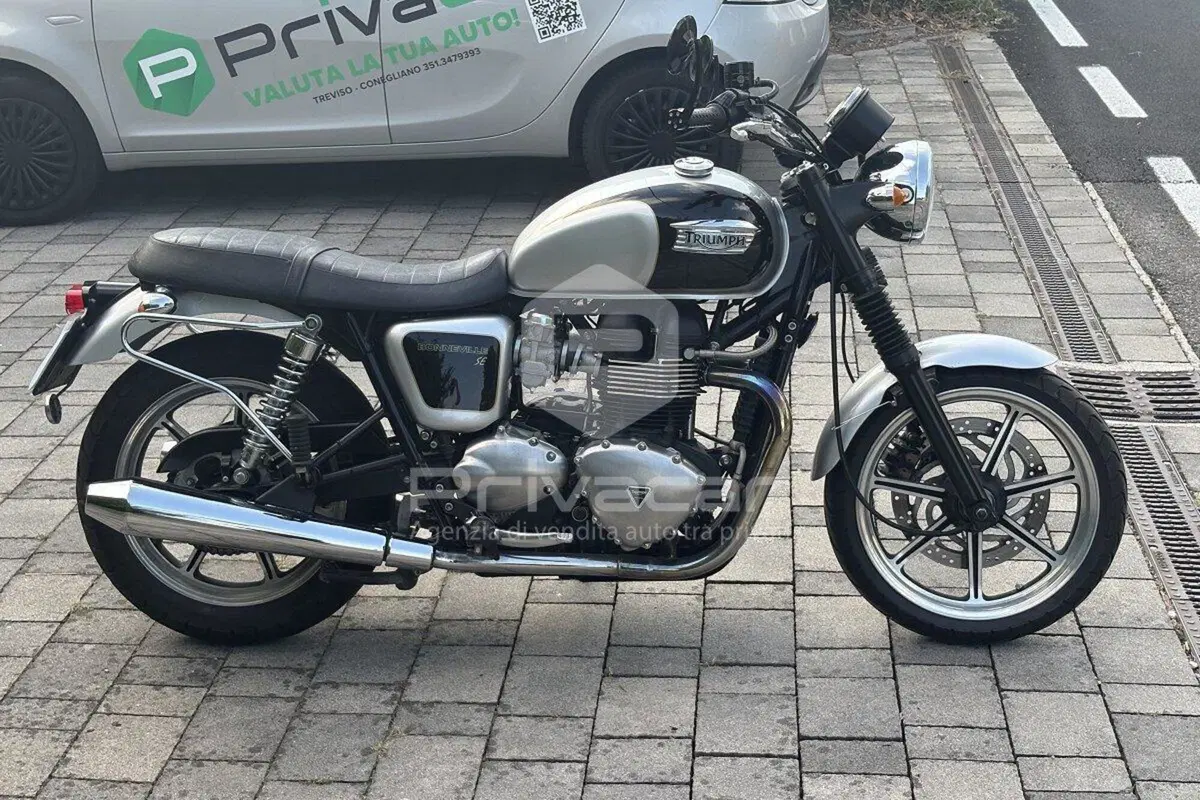 Triumph Bonneville SE (2009 - 13) (3)