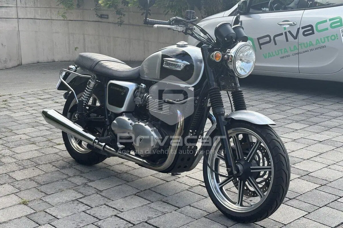 Triumph Bonneville SE (2009 - 13) (2)