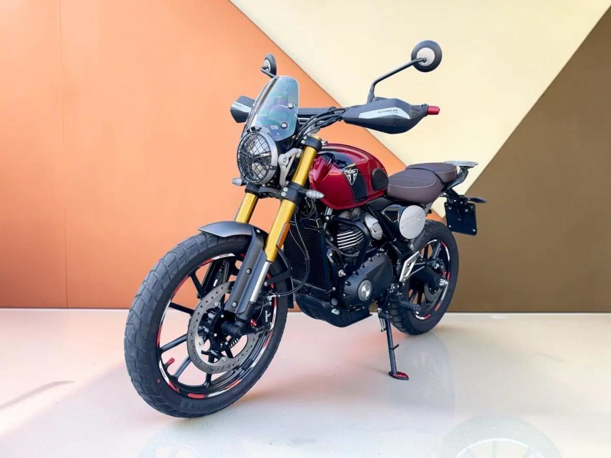 Triumph Scrambler 400 X (2024 - 26) (4)