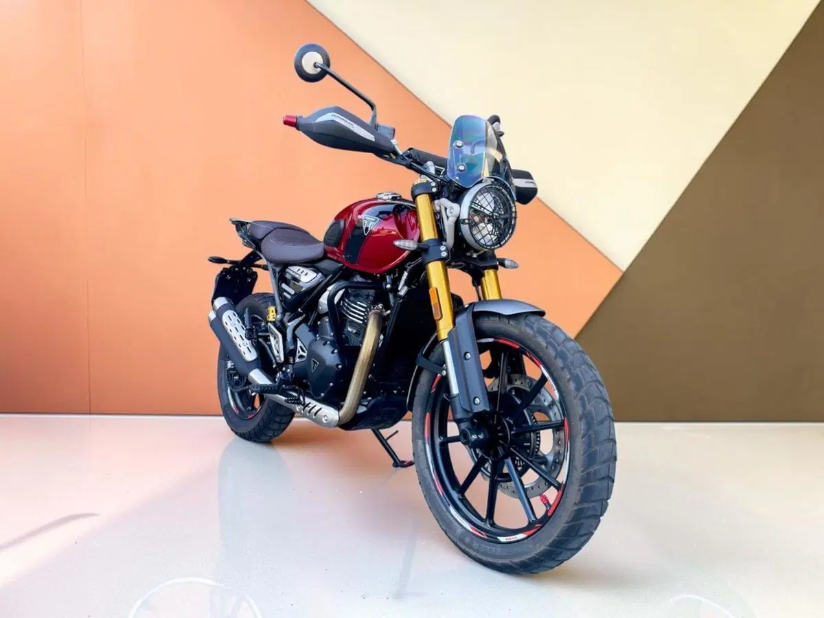 Triumph Scrambler 400 X (2024 - 26) (6)