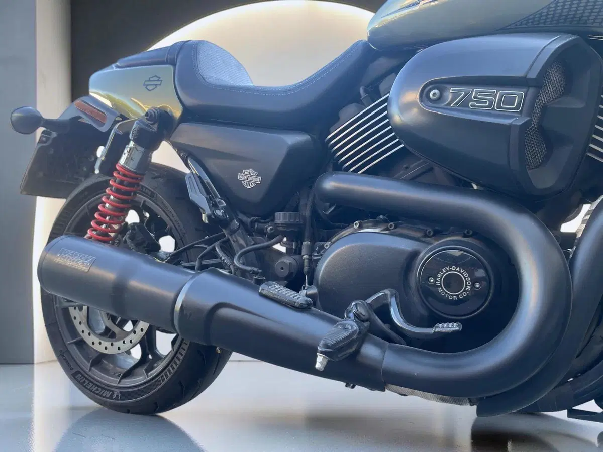 Harley-Davidson 750 Street (2017 - 20) - XG 750 (6)
