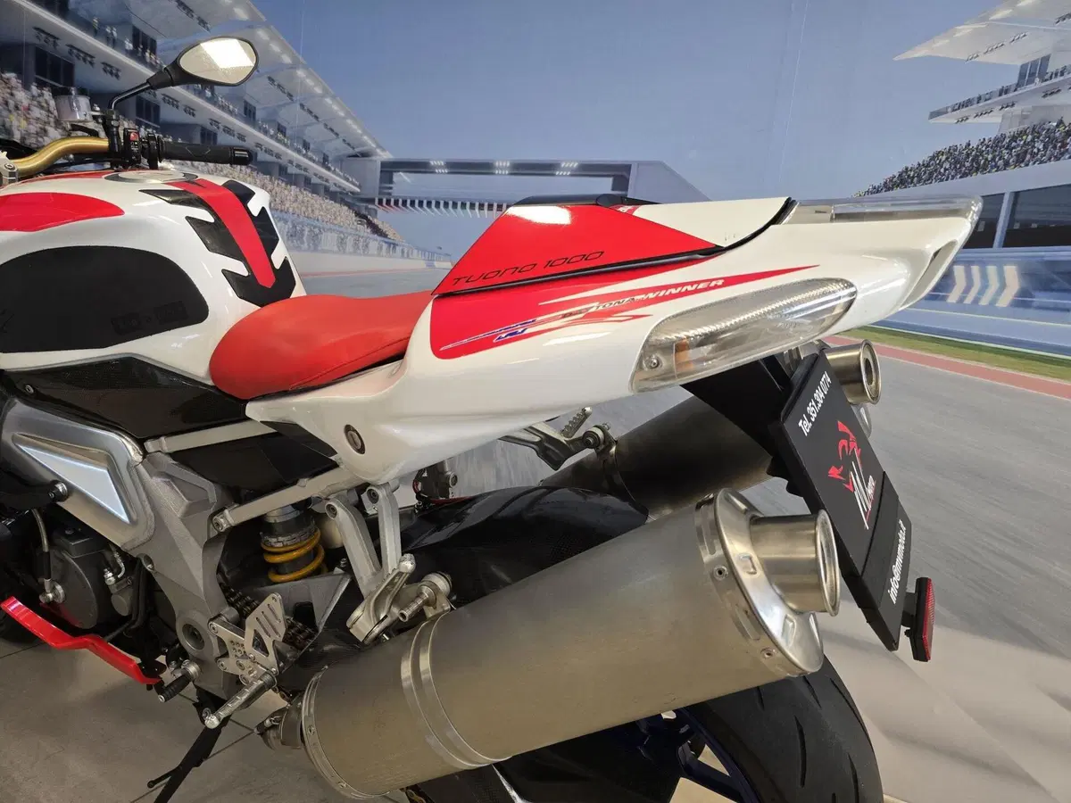 Aprilia Tuono 1000 R (2006 - 10) (8)