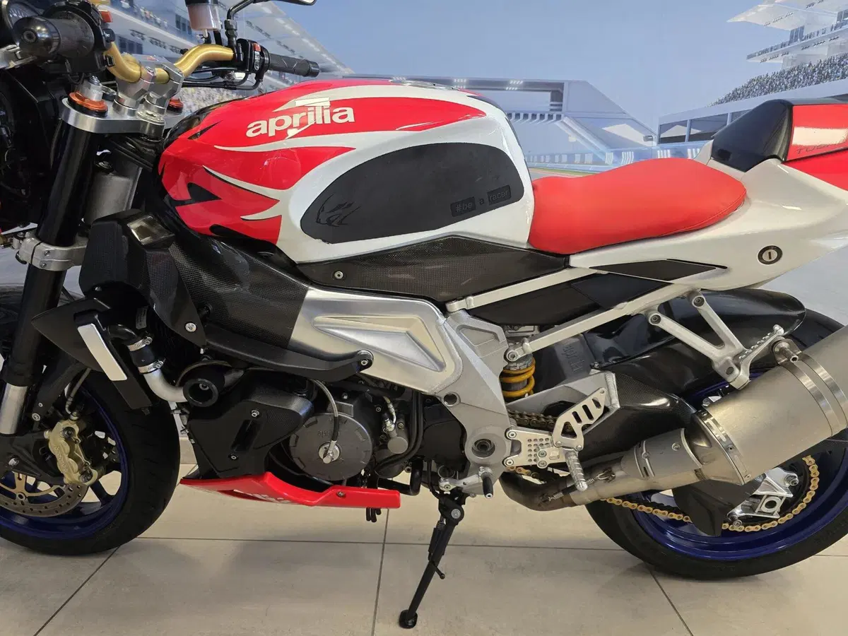 Aprilia Tuono 1000 R (2006 - 10) (9)