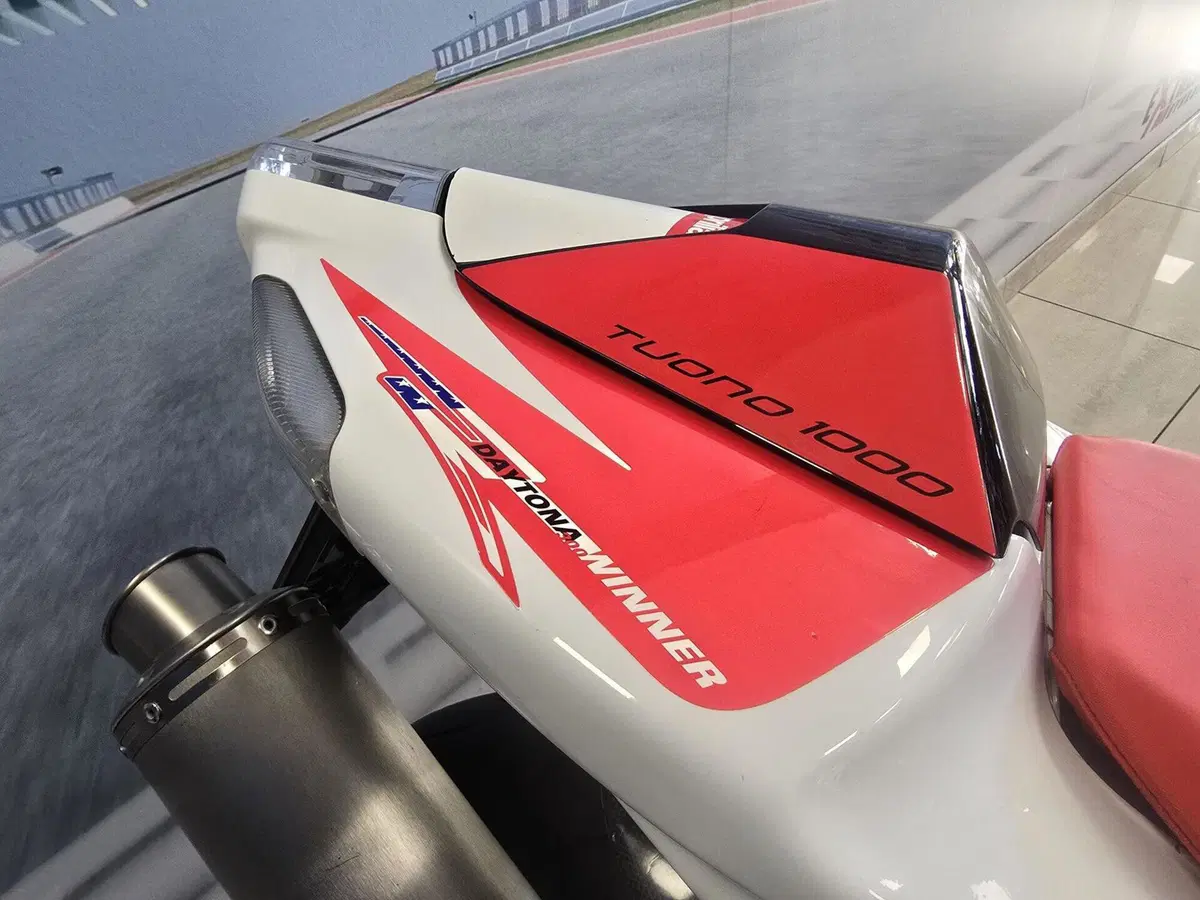 Aprilia Tuono 1000 R (2006 - 10) (14)