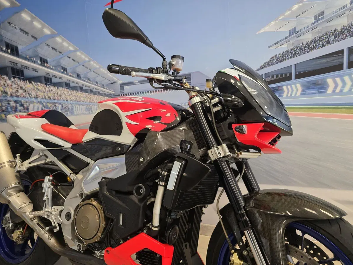 Aprilia Tuono 1000 R (2006 - 10) (18)