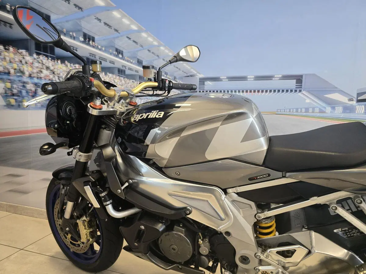 Aprilia Tuono 1000 R (2006 - 10) (10)