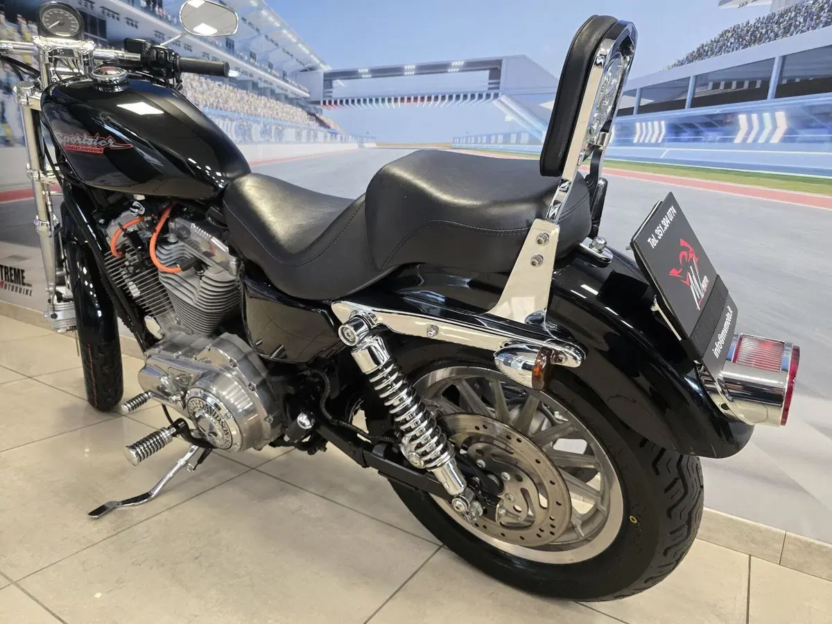 Harley-Davidson 883 Standard (2001 - 05) - XL 883 (7)
