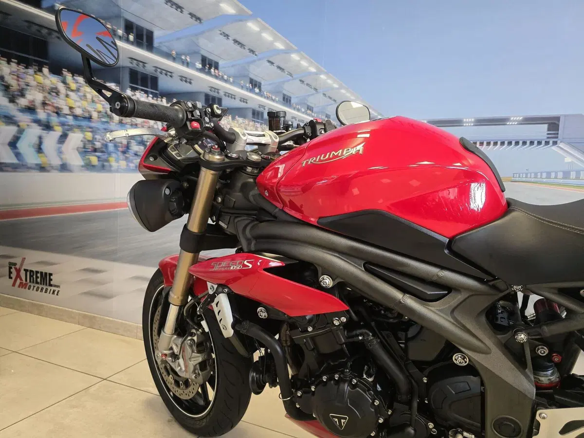 Triumph Speed Triple 1050 S ABS (2016 - 17) (9)
