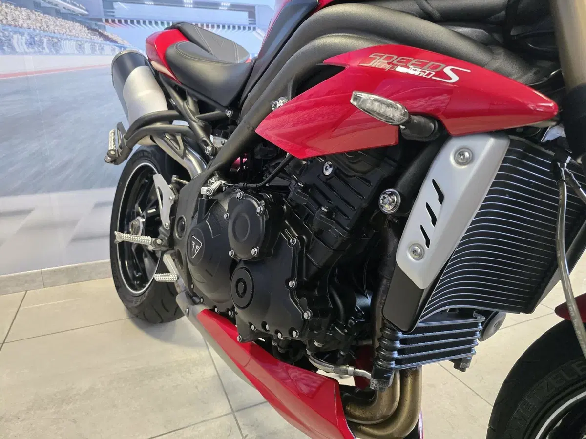 Triumph Speed Triple 1050 S ABS (2016 - 17) (12)