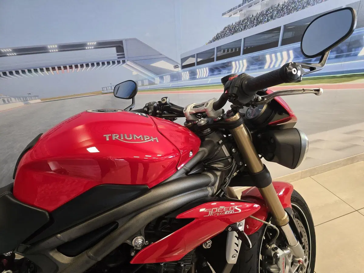 Triumph Speed Triple 1050 S ABS (2016 - 17) (16)