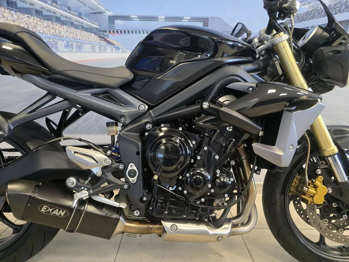 Triumph Street Triple ABS (2013 - 17) (15)