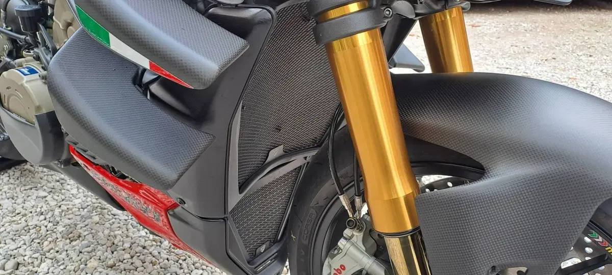 Ducati Streetfighter V4 S (2023 - 24) (12)