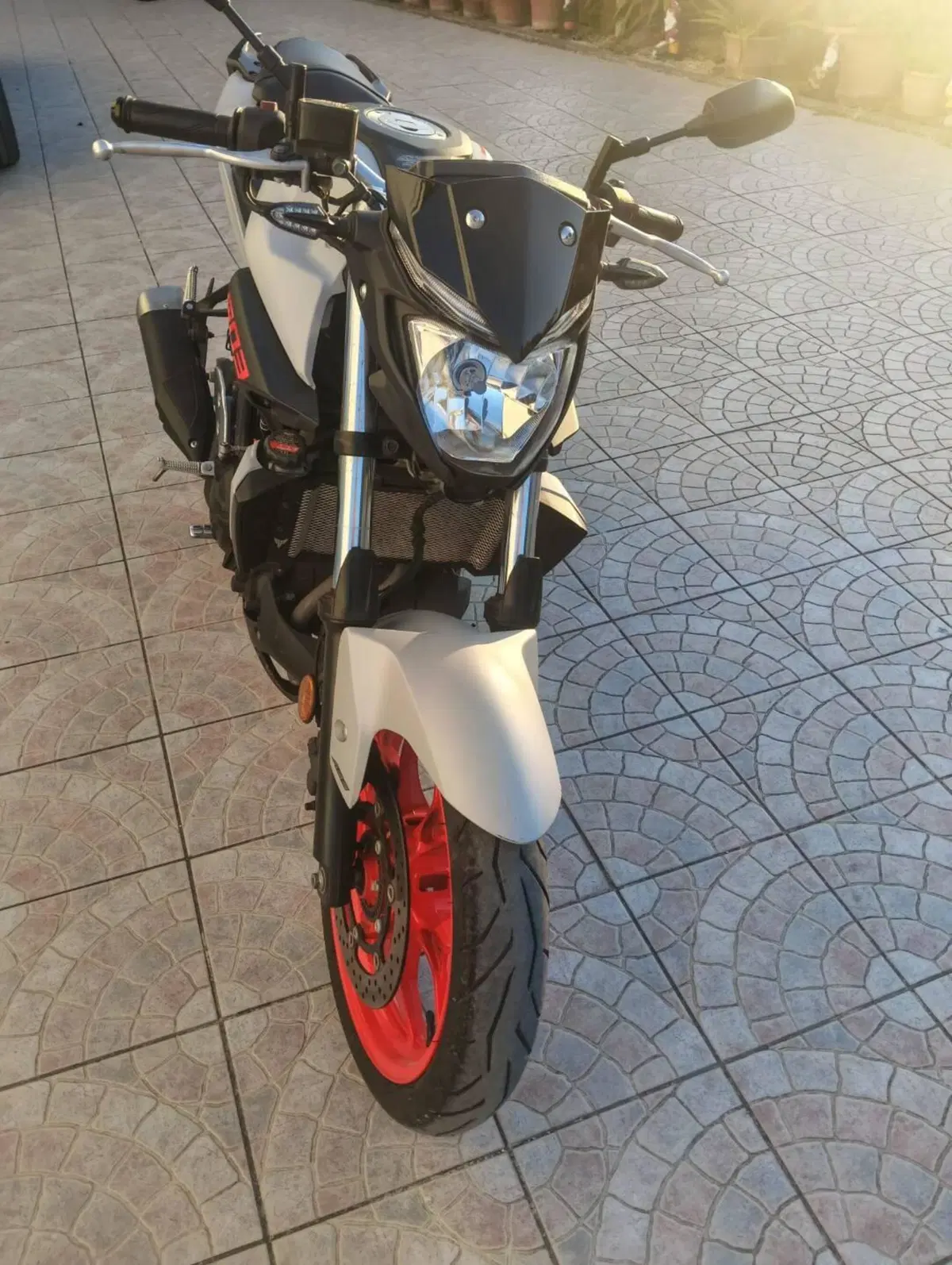 Yamaha MT-03 (2018 - 19) (5)