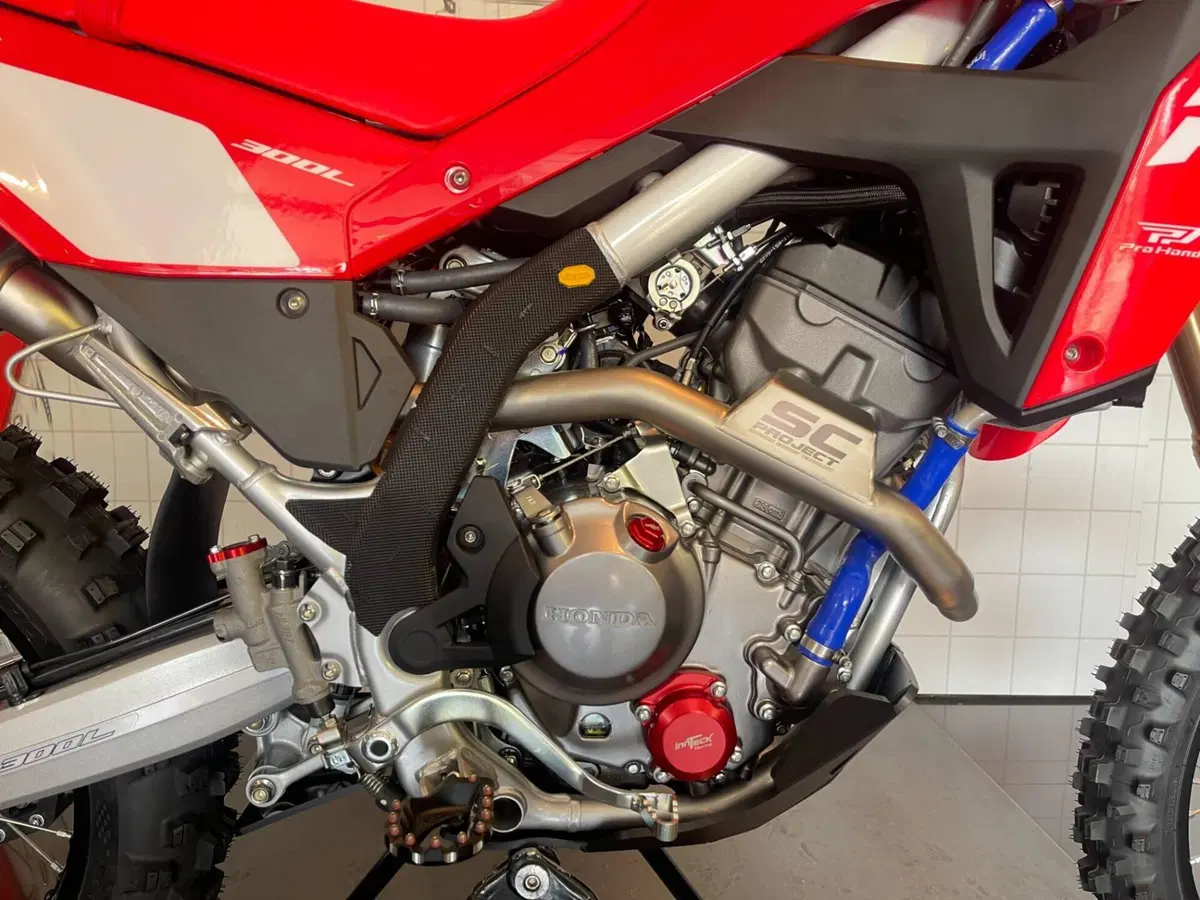 Honda CRF 300L Red Edition Evo (2026) (3)