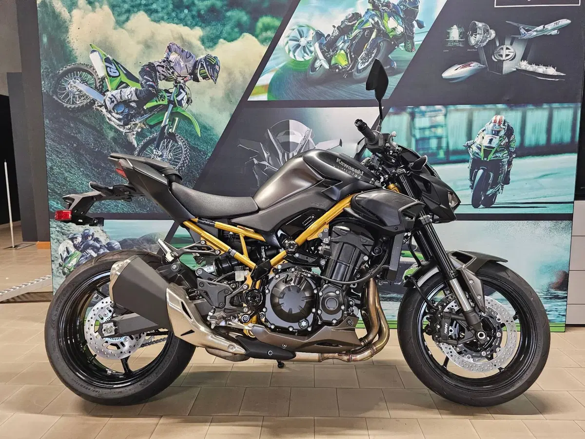 Kawasaki Z 900 (2025 - 26)