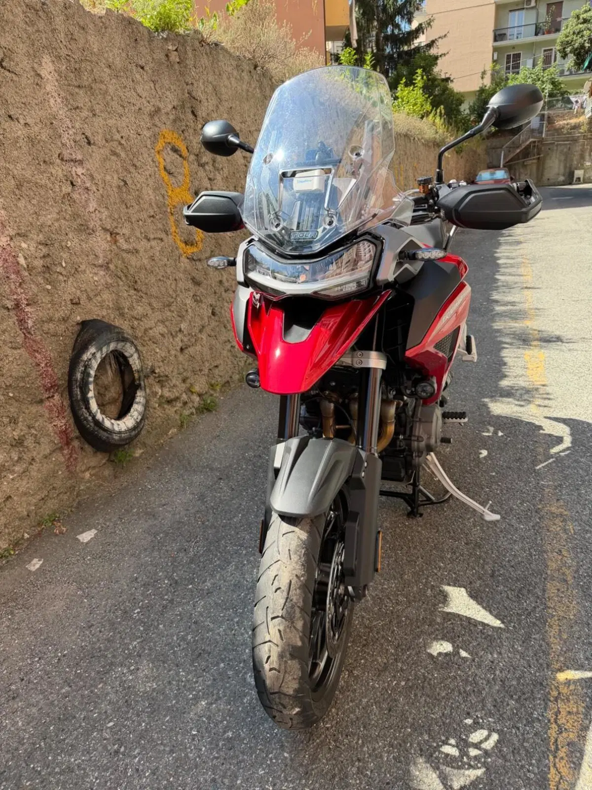 Triumph Tiger 1200 GT Pro (2024 - 26) (3)