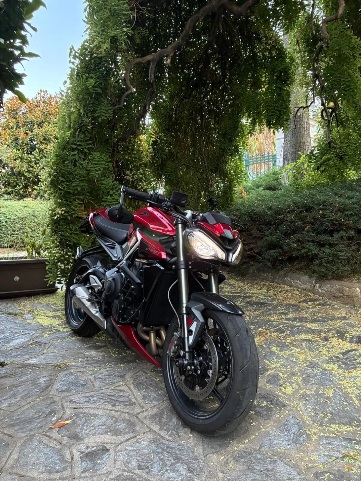 Triumph Street Triple 765 RS (2023 - 26)