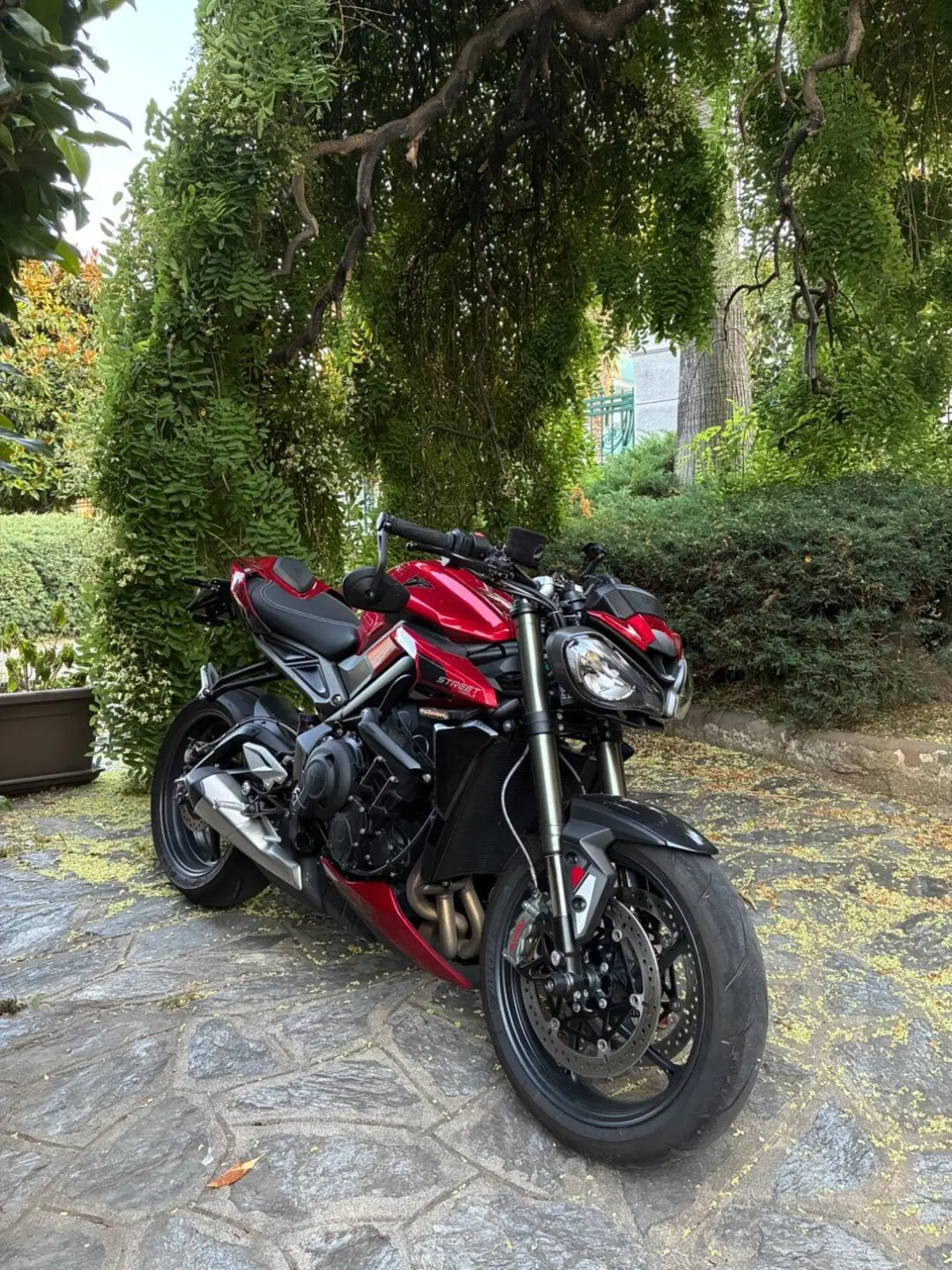 Triumph Street Triple 765 RS (2023 - 26) (2)