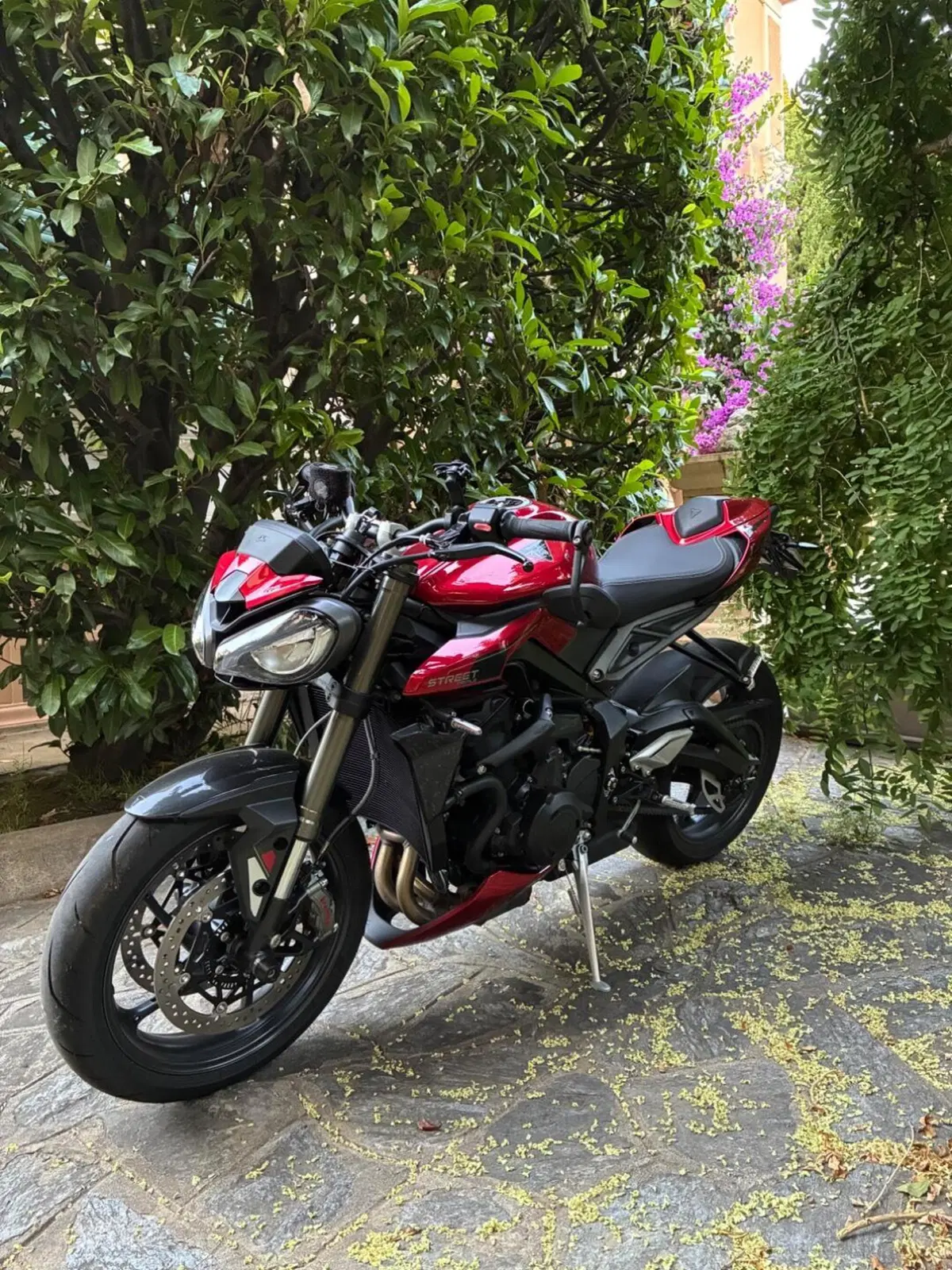 Triumph Street Triple 765 RS (2023 - 26) (5)