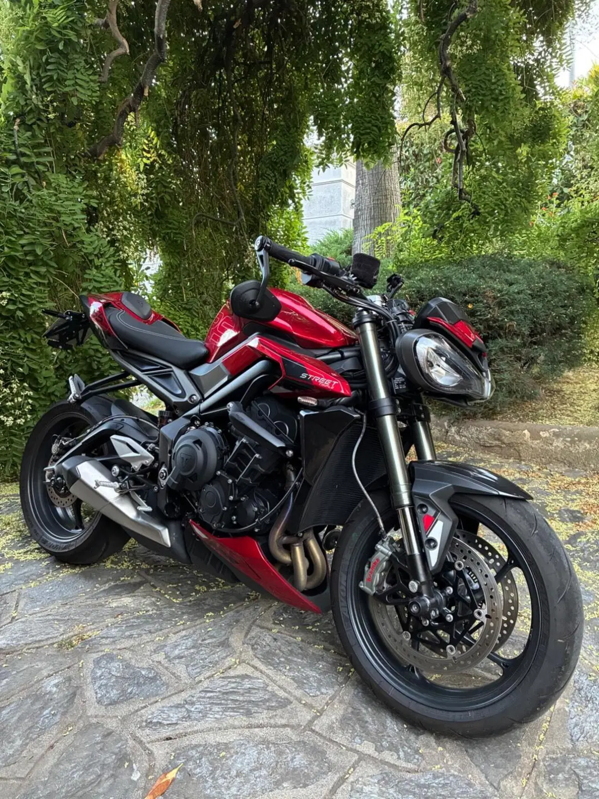 Triumph Street Triple 765 RS (2023 - 26) (6)
