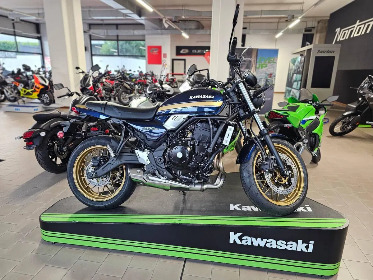 Kawasaki Z 650 RS (2025 - 26)