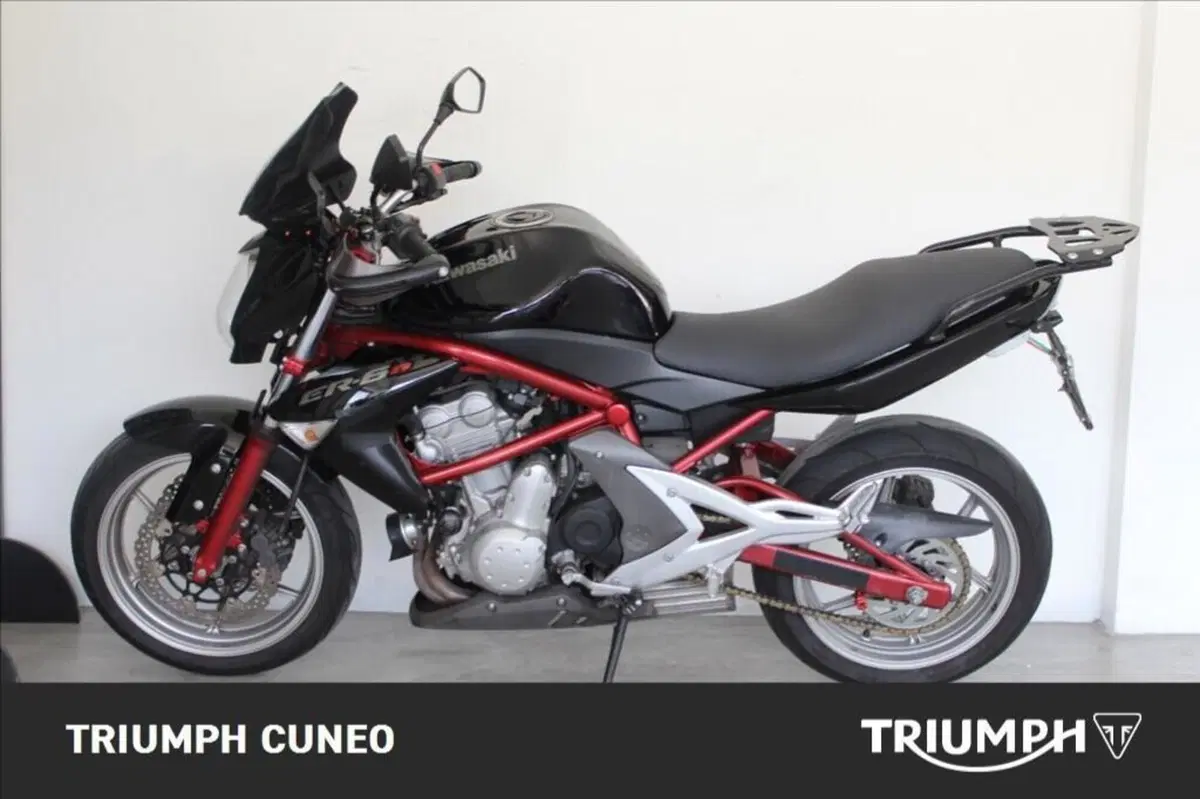 Kawasaki ER-6N (2005 - 08) (4)