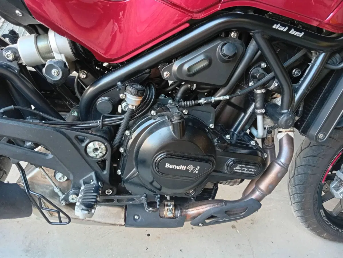 Benelli Leoncino 500 (2021 - 25) (3)