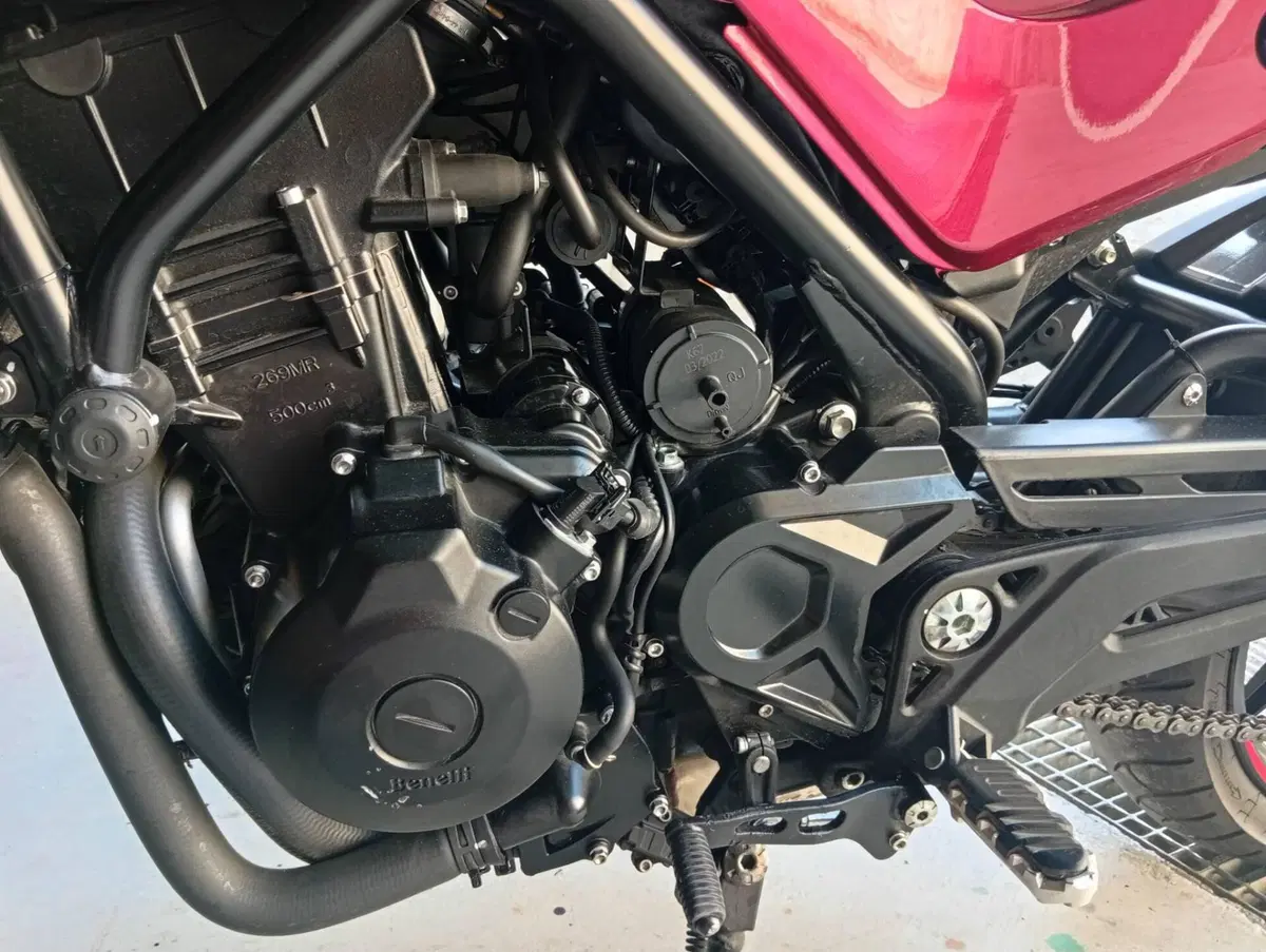 Benelli Leoncino 500 (2021 - 25) (4)