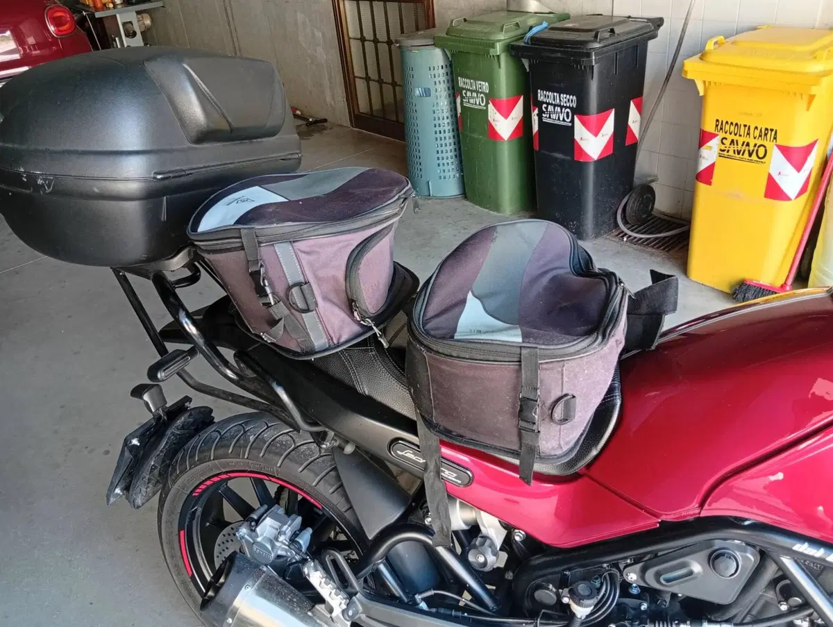 Benelli Leoncino 500 (2021 - 25) (6)