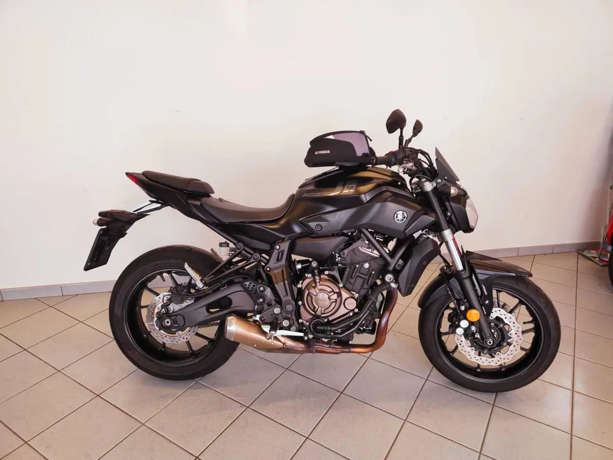 Yamaha MT-07 (2017 - 18) (10)