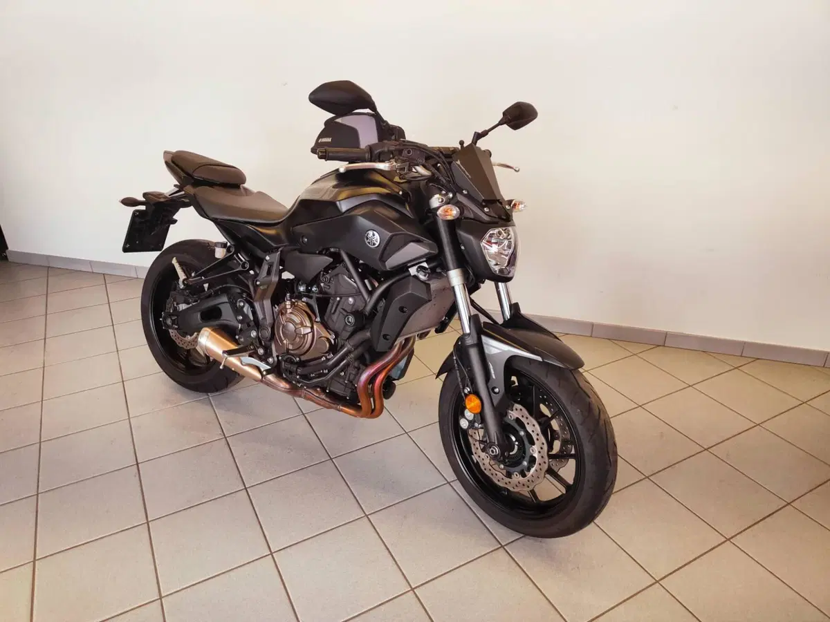 Yamaha MT-07 (2017 - 18) (12)