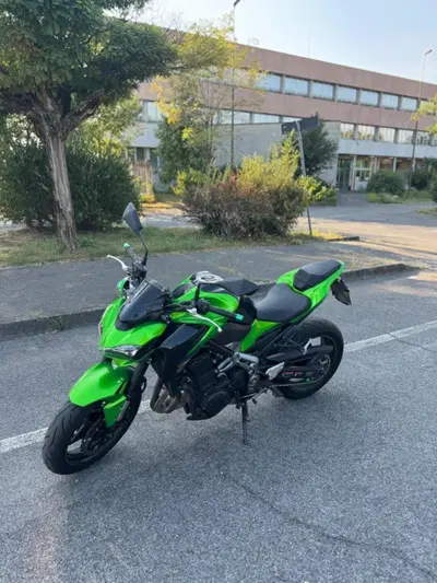 Kawasaki Z 900 (2017 - 18) usata