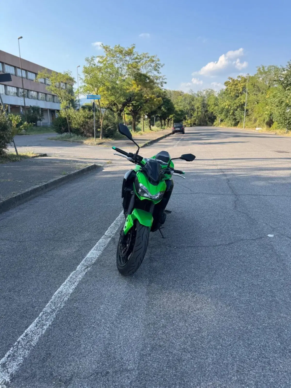 Kawasaki Z 900 (2017 - 18) (2)