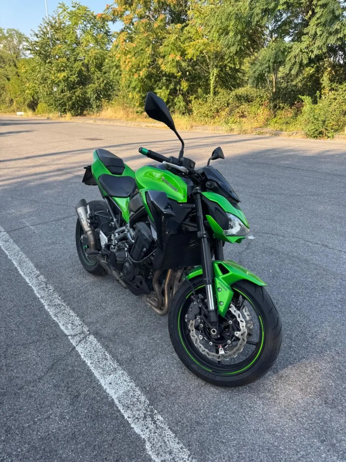 Kawasaki Z 900 (2017 - 18) (3)