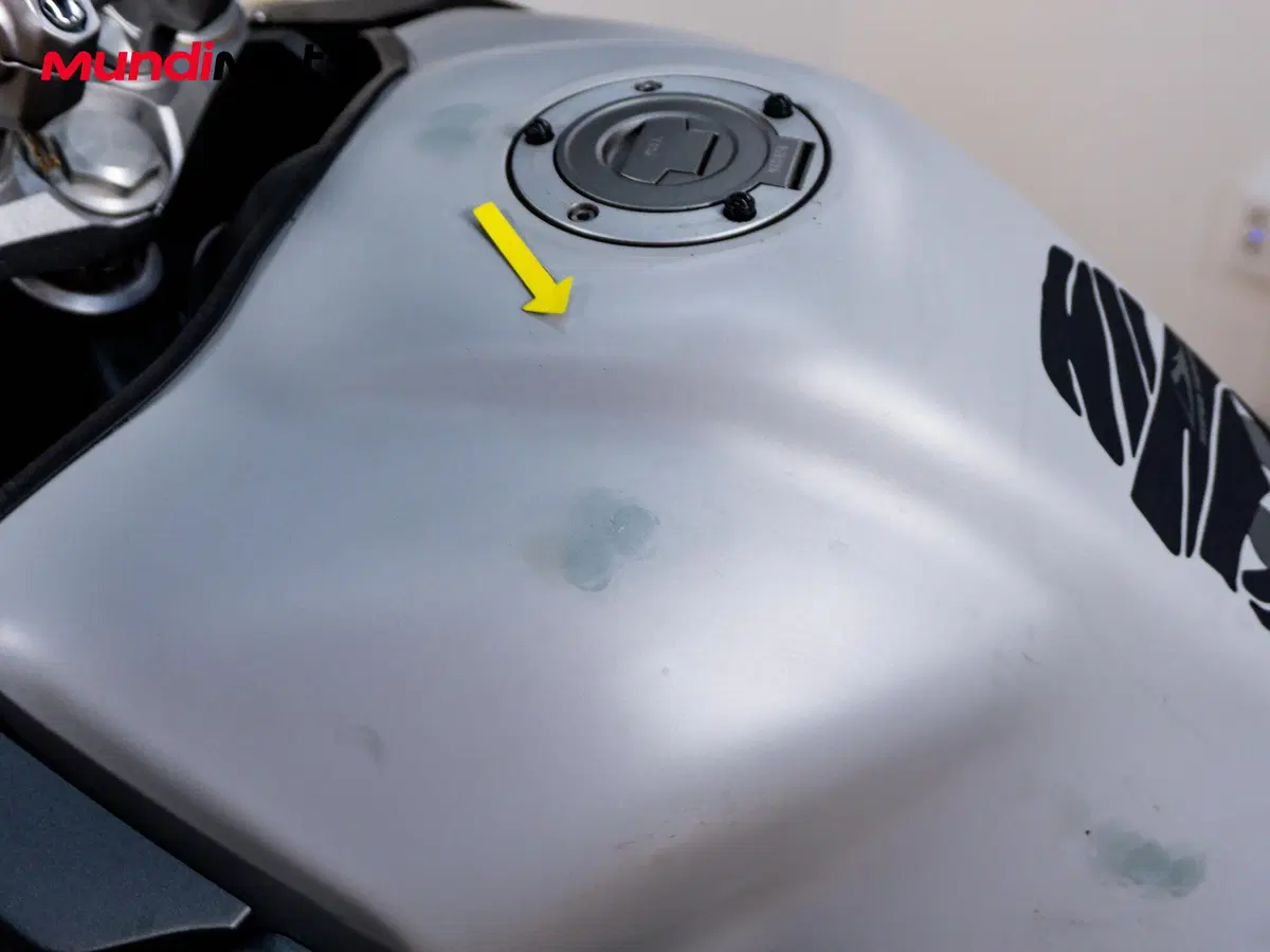 Yamaha XT1200Z Super Ténéré First Edition (2010 - 11) (13)