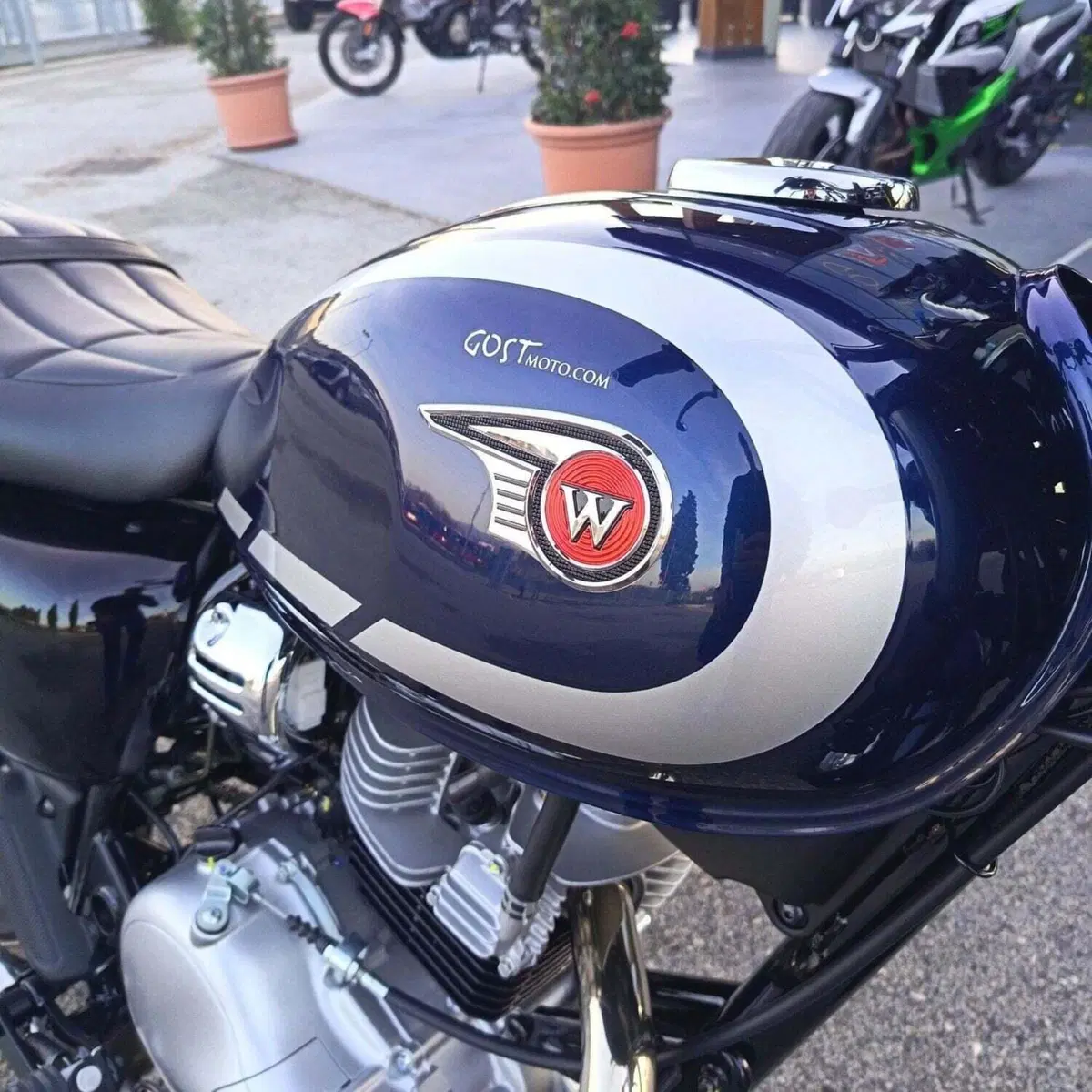 Kawasaki W 230 (2025 - 26) (8)