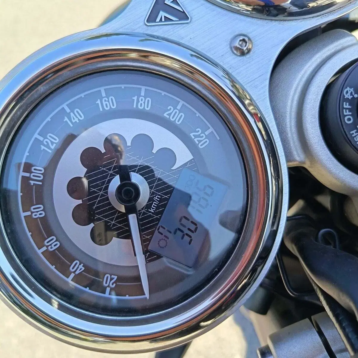 Triumph Speed Twin 1200 (2021 - 24) (10)