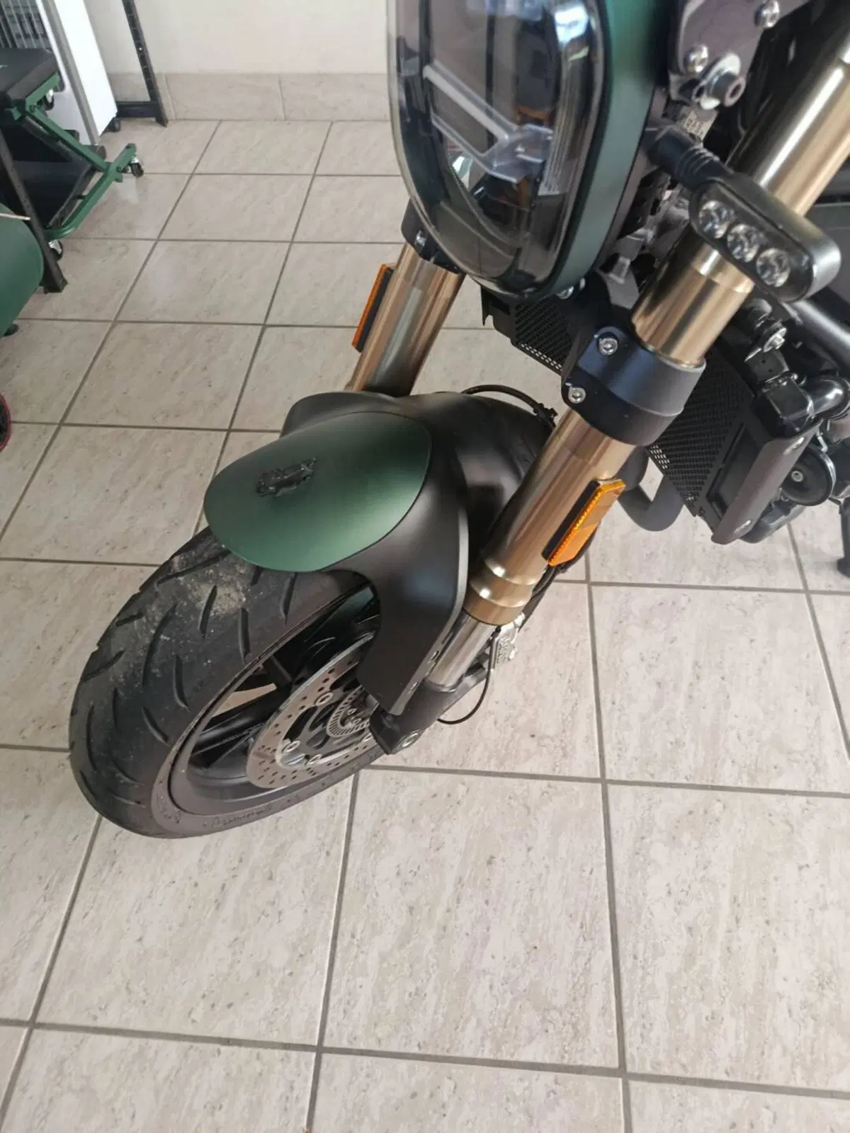 Benelli Leoncino 800 (2022 - 26) (6)
