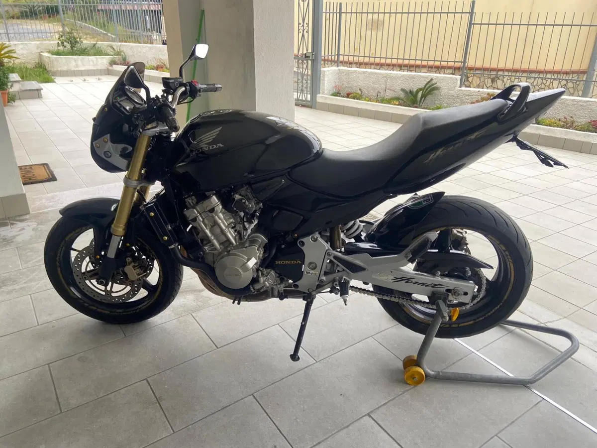 Honda Hornet 600 (2005 - 06) (4)