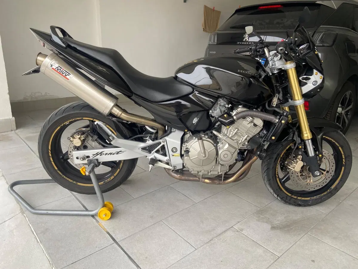 Honda Hornet 600 (2005 - 06) (5)