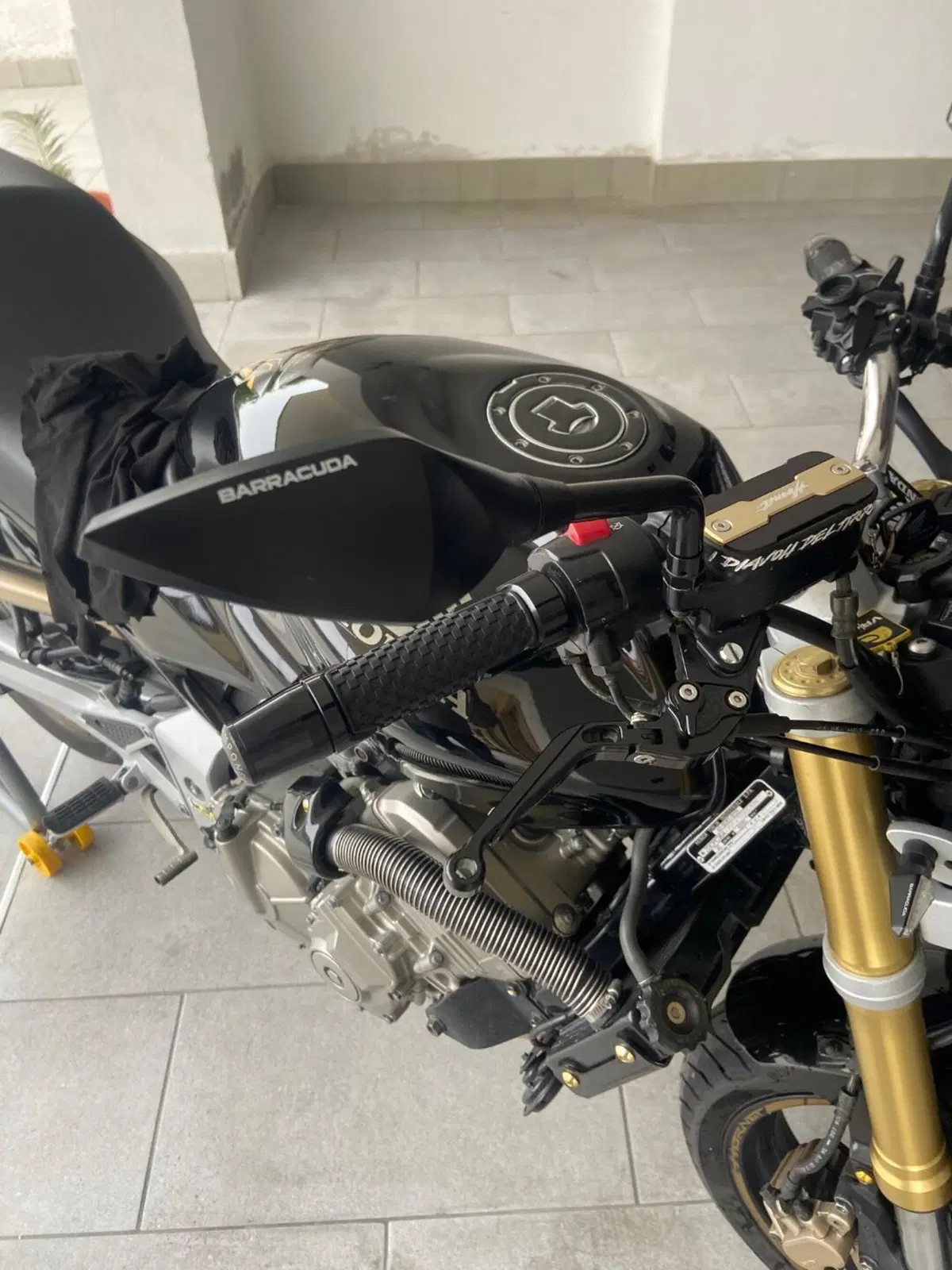 Honda Hornet 600 (2005 - 06) (10)