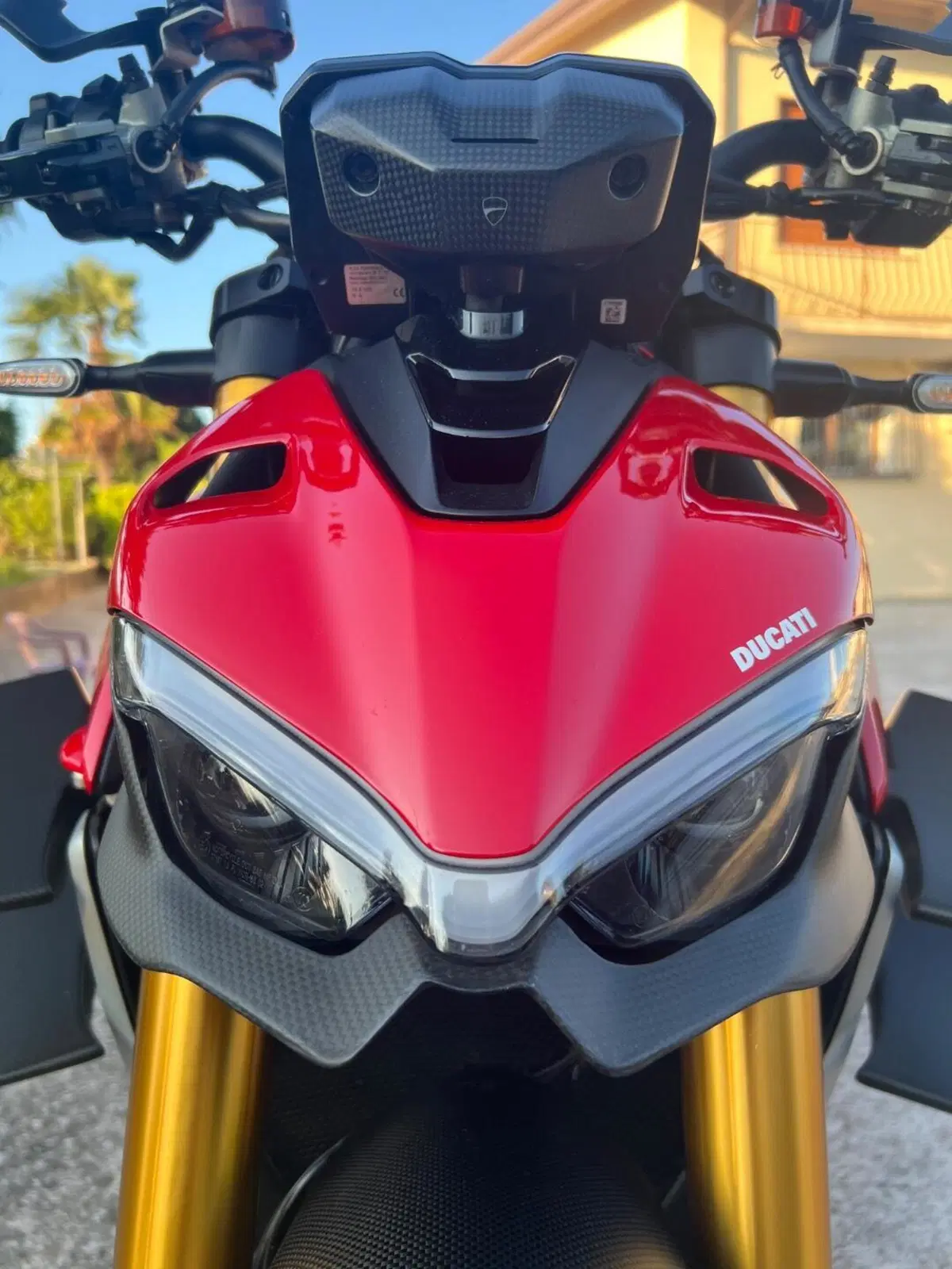 Ducati Streetfighter V4 1100 S (2020) (12)