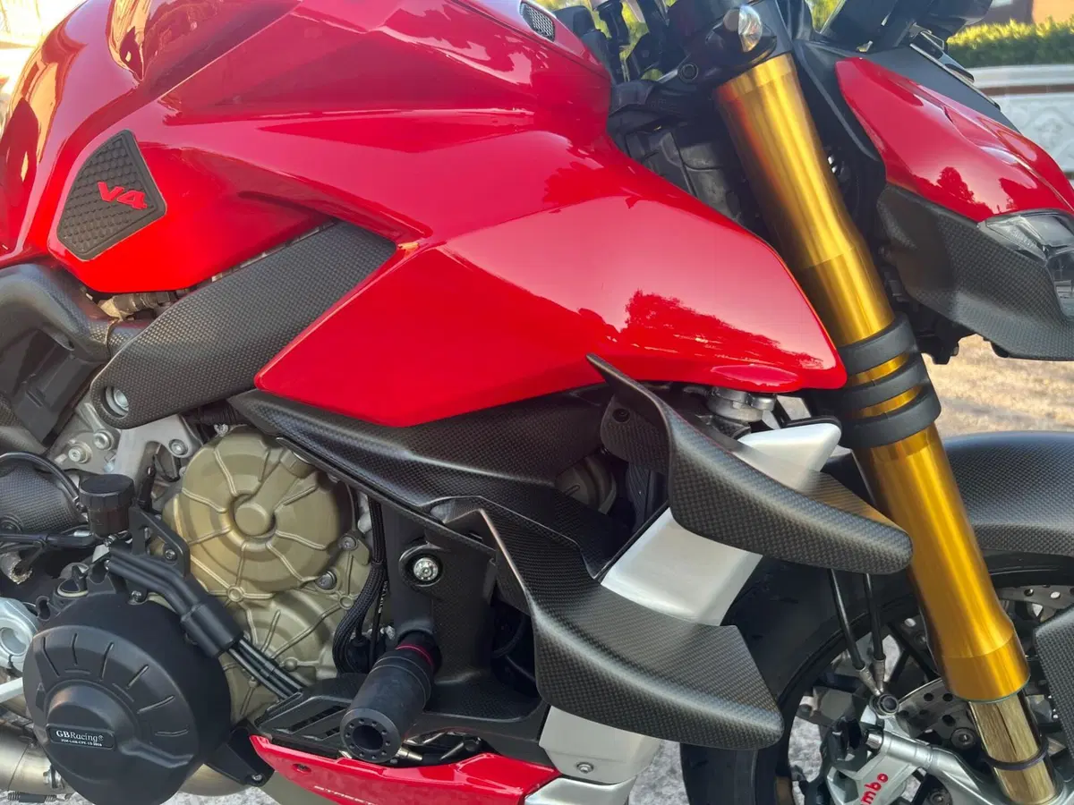 Ducati Streetfighter V4 1100 S (2020) (13)